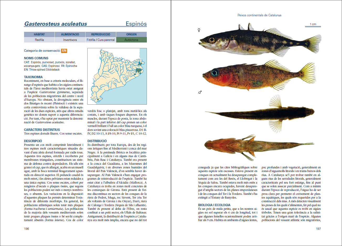 Sample page of Peixos continentals de Catalunya Peixos continentals de Catalunya sample page